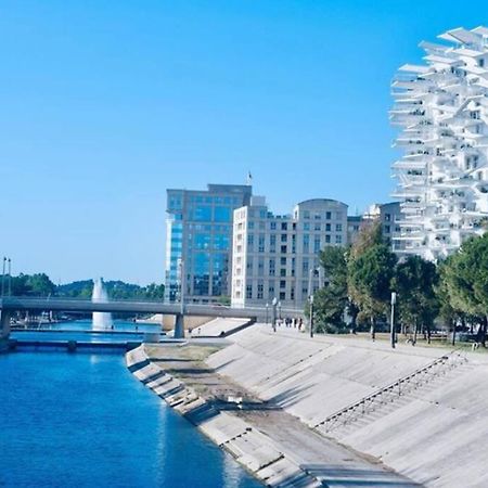 Appartement T2 A L'Arbre Blanc Montpellier Kültér fotó