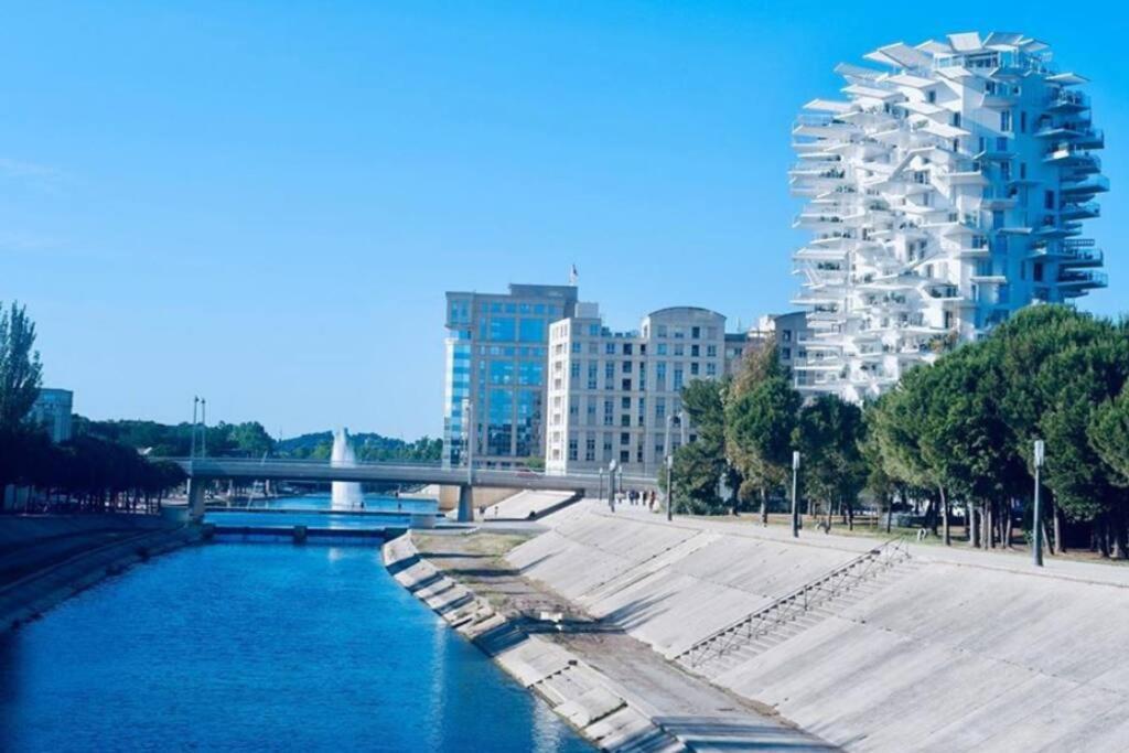 Appartement T2 A L'Arbre Blanc Montpellier Kültér fotó